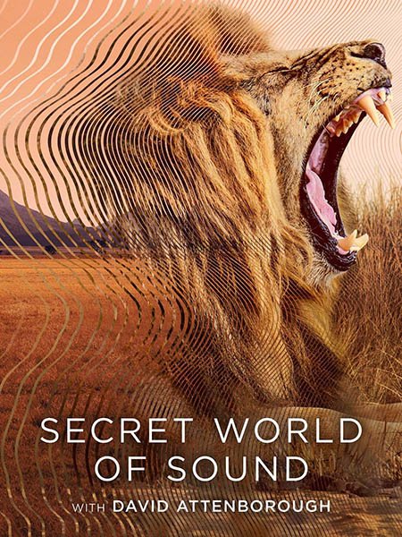 Постер к Тайный мир звука с Дэвидом Аттенборо (1 сезон) / Secret World of Sound with David Attenborough (2024) WEB-DLRip